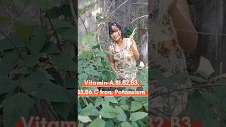 Barbatibodilobia ke benefits garden vegetables love [upl. by Ahsiner]