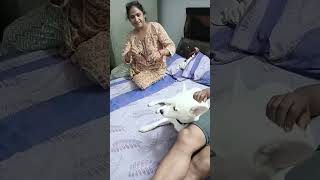 whisky dont like medicine doglover lovetraining lovefamily [upl. by Parker]