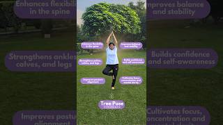 6 Amazing Benefits of Tree Pose💯😲shorts ytshorts viral [upl. by Portuna]