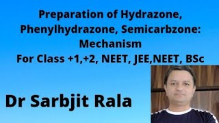 Preparation of Hydrazone from Aldehydes and Ketones Mechanism For 12 NEET JEE [upl. by Uase]