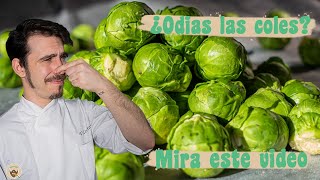 ¿ODIAS las COLES de Bruselas MIRA ESTE VIDEO  Probando la verdura que más odio [upl. by Krahmer]