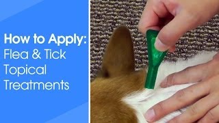 How to Apply Flea amp Tick Topical Treatments [upl. by Inaliel]