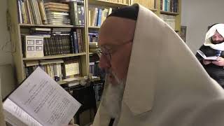 The Baal Nusach Eretz Yisrael Rabbi David BarHayim Leads Arvit Nusach Eretz Yisrael [upl. by Brock566]