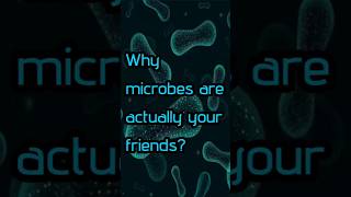 Why microbes are your friends [upl. by Noll]