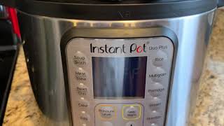 Instant Pot Yogurt [upl. by Sari]