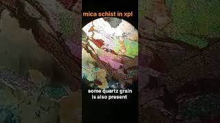 Mica schist in thin section muscovitebiotitegeologyearth science minerologycrystal [upl. by Bahner852]