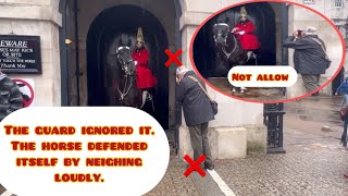 The smart horse protects itself by neighing when the guard does nothing⚠️ [upl. by Redmer866]