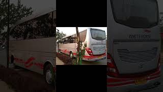 PO White Horse Ft Jetbus HD Membasuri shorts busmania whitehorse jetbushd basuri teloletbasuri [upl. by Ztirf]