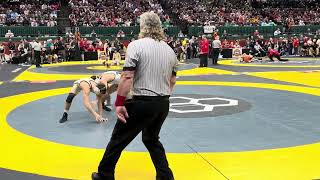 D1SF 113lbs Grey Burnett Perrysburg vs Liston Seibert Mass Perry [upl. by Torbert629]