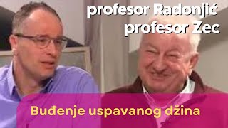 Buđenje uspavanog džina  prof Ognjen Radonjić [upl. by Eihcir]