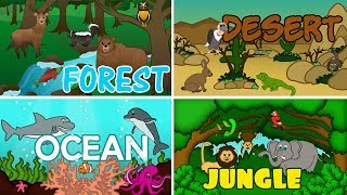 Learn Spelling for Kids  Learning to Spell Animals  Wild Animals for Children to Learn in English [upl. by Anez]