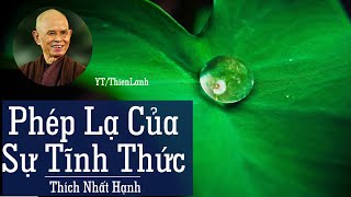 PHÉP LẠ CỦA SỰ TỈNH THỨC  THÍCH NHẤT HẠNH  Thực tập thiền quán trong đời sống hàng ngày [upl. by Doownel]