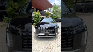 Hyundai Palisade Paint Protection Flilm by Elite Stickers [upl. by Cody]