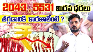 2043 5531 మిరప ధరలు తగ్గడానికి కారణాలేంటి chilli market todayrate byadigi prices todayprice [upl. by Fang793]