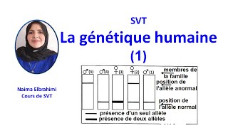 SVTBacBiofGénétique humaineCaryotypeArbre généalogiqueElécrophorèse Allèle récessif autosomal [upl. by Leander201]