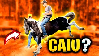 PRIMEIRA MONTADA do CAVALO [upl. by Moyer]