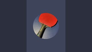 Table tennis 202411161 [upl. by Fasa127]