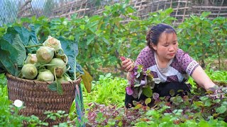 The process of harvesting agricultural products to sell to the marketCooking daily work on the farm [upl. by Airdnas]