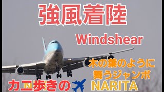 ✈成田空港木の葉のように舞うジャンボ”Crosswindlanding 壮絶横風着陸”ジャンボ8機の壮絶横風着陸 斜め着陸 Go Around ゴーアラウンドウインドシアwind shear [upl. by Htaras]