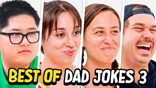 Dad Jokes  Dont laugh Challenge  Best Moments 3  Raise Your Spirits [upl. by Lenora]