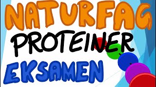 Naturfag muntlig eksamen  Næringsstoffene Proteiner [upl. by Htebazileharas770]