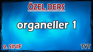 14 Organeller 1  Özel Ders 9 Sınıf [upl. by Iatnohs]