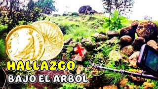 LA ENCONTRÉ DEBAJO DEL ÁRBOL tenia 200 años oculta en ese lugar [upl. by Aivull519]