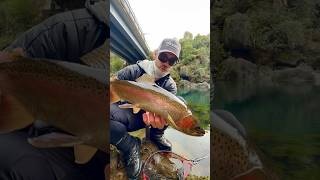 🎣Baitcaster Fishing for Trout🐠 fishing trout fish flyfishing [upl. by Atin]