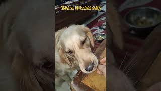 Daisy ka favorite tandoori chicken DaisyFunTv [upl. by Rosalia]