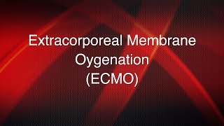 Extracorporeal membrane oxygenation ECMO [upl. by Ahsinyd900]