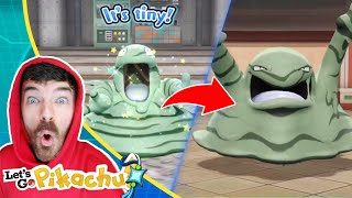 Shiny Grimer amp Shiny Muk Caught In The Wild  Pokemon Lets Go Pikachu Extreme Shiny Living Dex [upl. by Nhguav]