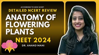 Anatomy of Flowering Plants  Detailed NCERT Review  NEET 2024  Dr Anand Mani [upl. by Rist]