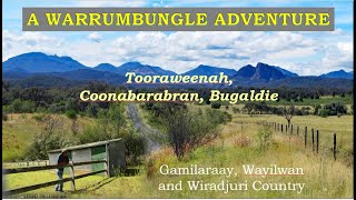 Warrumbungle Adventure Taming of the Warrumbungle Mare Tooraweenah Coonabarabran Bugaldie NSW [upl. by Arval633]