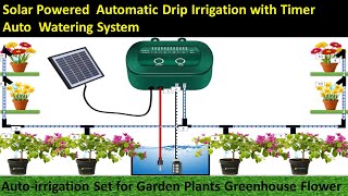 Solar Powered Automatic Drip Irrigation System l Garden Plants Greenhouse Flower CircuitInfo [upl. by Ardisj]