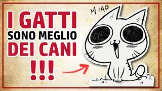 13 motivi per cui I GATTI SONO MEGLIO DEI CANI [upl. by Abernathy]