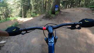 blue line at bike park Bernex in the french alps [upl. by Thomas]