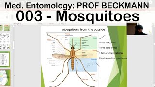 Medical Entomology 003 Mosquitoes [upl. by Adeehsar837]