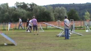 Laser Mellingen 08072012 [upl. by Fuld72]