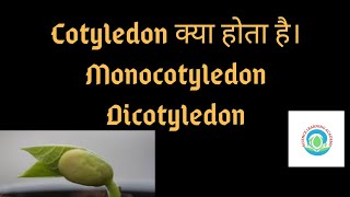 What is cotyledon  types of Cotyledon  science learning academy 👍 by Neha Maam [upl. by Pete737]