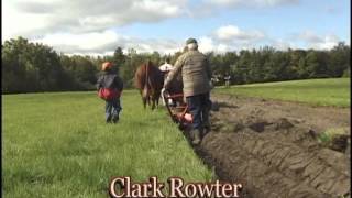 Annapolis Valley Working With Oxen [upl. by Anelaf89]