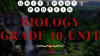 Biology grade 10 unit 3 🎈📍 part 3 protein in Amharic biology [upl. by Ibot861]