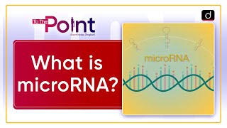 Nobel Prize 2024  Medicine  microRNA  To The Point  Drishti IAS English [upl. by Mont]