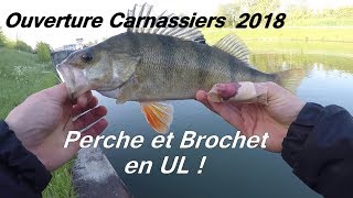 Ouverture CARNASSIERS 2018  Perche et Brochet en UL [upl. by Carma]