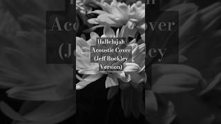 Hallelujah Acoustic Cover Jeff Buckley Version [upl. by Burg734]