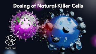 Dosing of Natural Killer Cell Therapy 1844 4NKCELL [upl. by Jacinda]