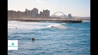 Durban Travel Guide  A South African Dream [upl. by Argent322]