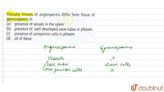 Vascular tissues of angiosperms differ from those of gymnosperms in [upl. by Anifled795]