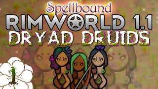 RimWorld Medieval  Dryad Druids  1  Meet our Dryad Ladies [upl. by Attiuqihc]