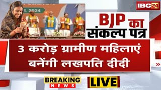 🔴BJP Ghoshna Patra 2024 Lok Sabha Election  3 करोड़ ग्रामीण महिलाएं बनेंगी लखपति दीदी [upl. by Renelle492]