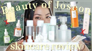 Honest Review of Beauty of Joseon After a FULL YEAR of Trying Them [upl. by Xyla]